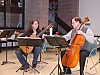 Thumbnail of Festival 07-7.JPG